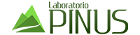 Lab PINUS